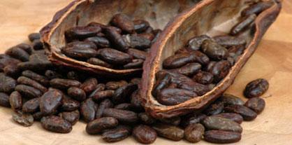 cocoa-beans.jpg