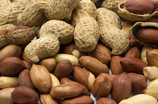 peanuts1.jpg